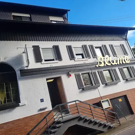 Hotel & Bracki Gusti