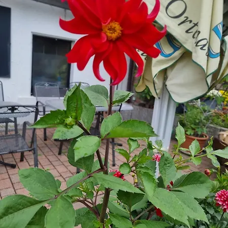 & Bracki Gusti מלון באדן-באדן