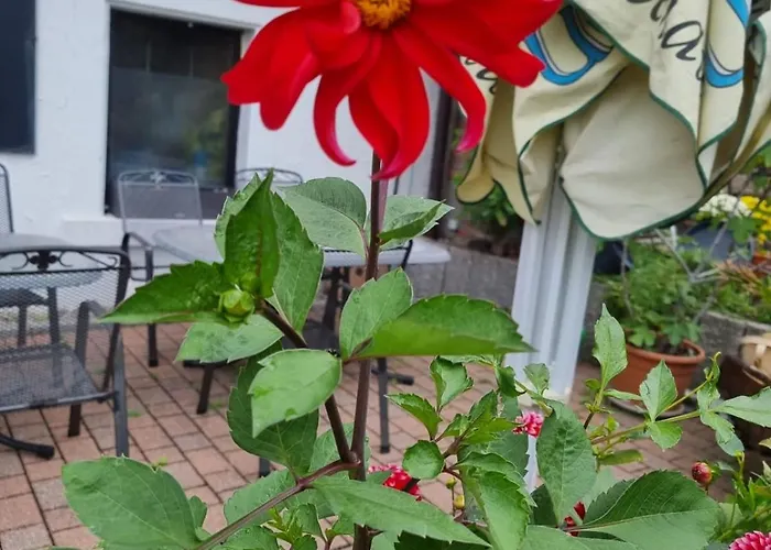 & Bracki Gusti Otel Baden-Baden